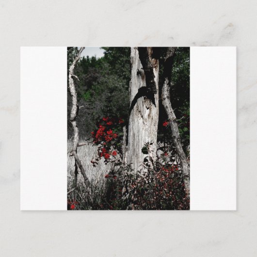 Farbtupfer Postkarte (Vorderseite)