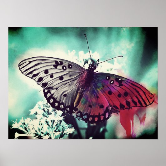 Färbung Poster (Vorne)