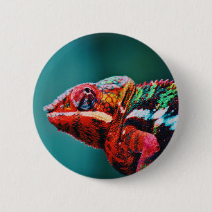 Farbverändernder Regenbogenfarben-Chameleon-Reptil Button