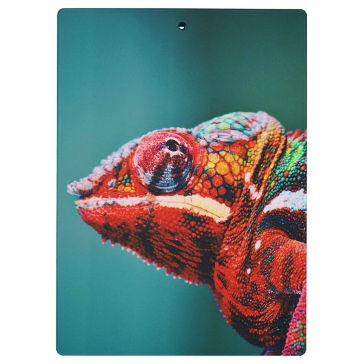 Farbverändernder Regenbogenfarben-Chameleon-Reptil Klemmbrett (Rückseite)