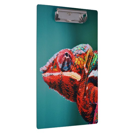 Farbverändernder Regenbogenfarben-Chameleon-Reptil Klemmbrett (Rechts)