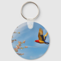 Farbvogel auf dem Schoß der Natur