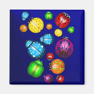 Farbwanzen-Kissen Magnet