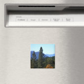 Farbwechsel.... Magnet (In Situ (Geschirrspüler))