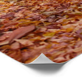 Farbweg Poster (Ecke)