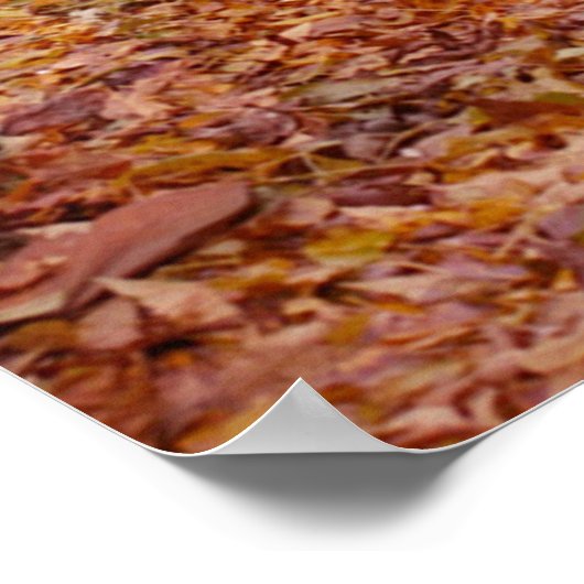 Farbweg Poster (Ecke)