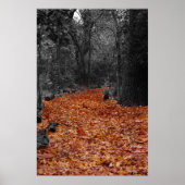 Farbweg Poster (Vorne)