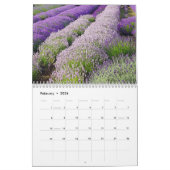 Farbzauber Lavendel Kalender (Feb 2026)