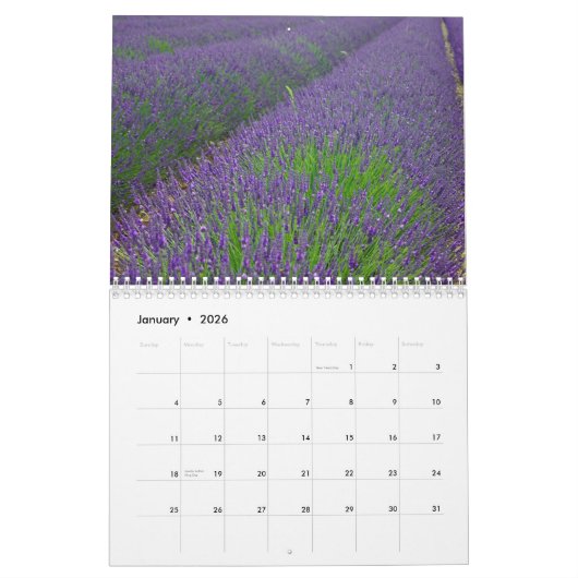 Farbzauber Lavendel Kalender (Jan 2026)