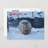 Fåret Fjun julkort Postkarte (Vorne/Hinten)