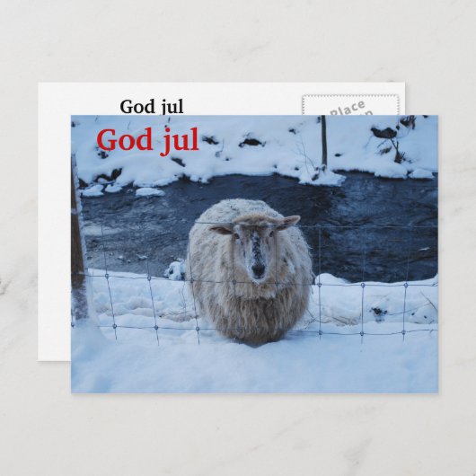 Fåret Fjun julkort Postkarte (Vorne/Hinten)