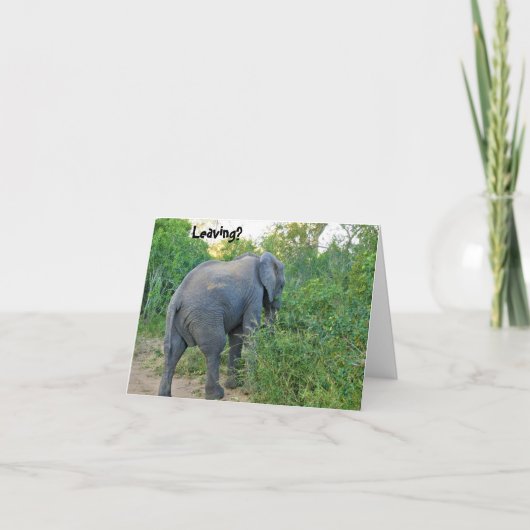 Farewell South Africa Elephant Card Dankeskarte (Vorderseite)