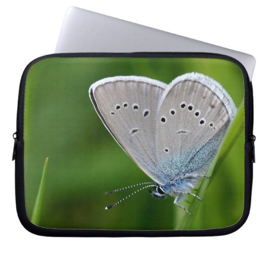 Farfalla Laptop Sleeve (Vorderseite)