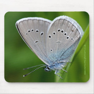 Farfalla Mousemat Mousepad