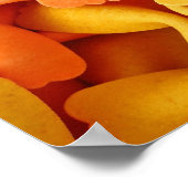 Farfalle-Poster Poster (Ecke)