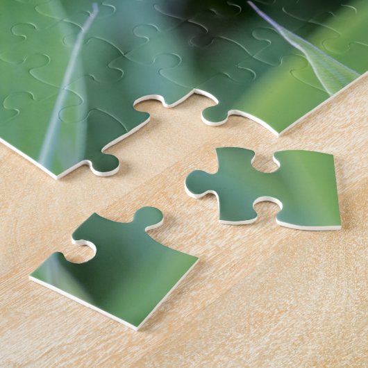 Fargesia murielae Bamboo Pflanze für Gärtner Puzzle (Seite)