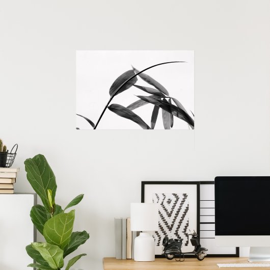 Fargesia sp. Bambus in Schwarz und Weiß Poster (Heimbüro)