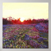 Farley Sonnenuntergang 2012 Poster (Vorne)