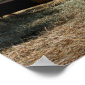 Farm Animal Friends Poster (Ecke)