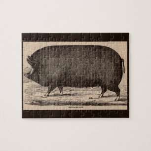 Farm Animal Printing Berkshire aus dem 19. Jahrhun Puzzle