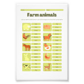 Farm Animals Identification Educational Worksheet Fotodruck (Vorne)