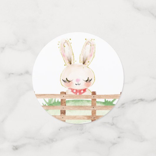 Farm Baby Animals Baby Shower Confetti Konfetti (Klein Vorderseite)