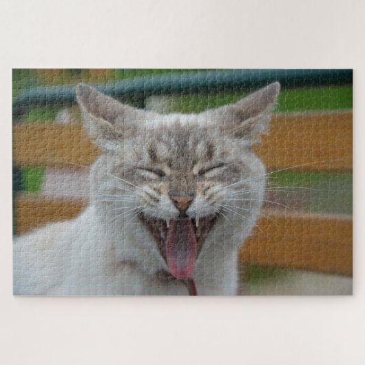 Farm Cat Puzzle (Horizontal)