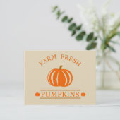 Farm fresh pumpkins feiertagspostkarte (Stehend Vorderseite)
