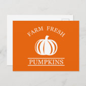 Farm fresh pumpkins feiertagspostkarte (Vorne/Hinten)