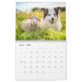 Farm Freunde – Tiere leben zusammen Kalender (Mär 2027)