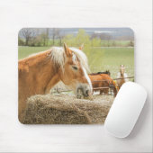 Farm Horse Munching on Some Hay Mousepad (Mit Mouse)