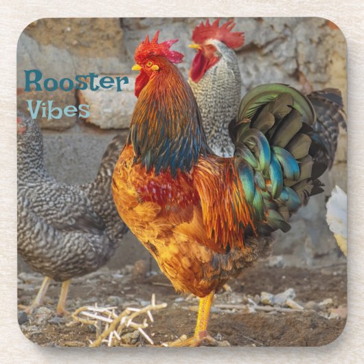 Farm Life Rooster Vibes Hard Plastic Coasters Getränkeuntersetzer (Vorderseite)