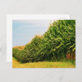 Farm Life USA Corn Crop Postcard Postkarte (Vorne/Hinten)