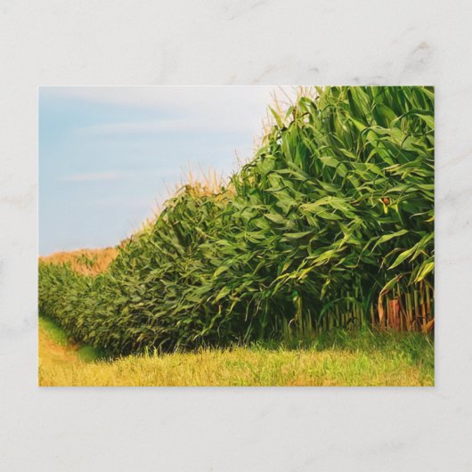 Farm Life USA Corn Crop Postcard Postkarte (Vorderseite)