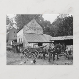 Farm Pennsylvania, 1906 Postkarte