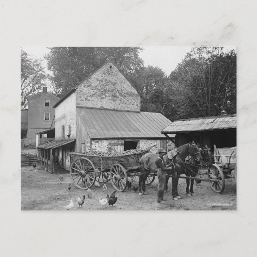 Farm Pennsylvania, 1906 Postkarte (Vorderseite)