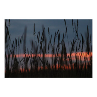 Farm Sunset Poster