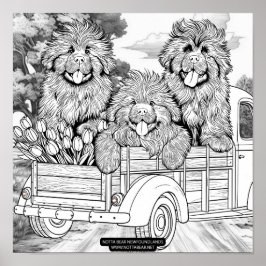 Farm truck Newfoundland Puppies with tulips Poster