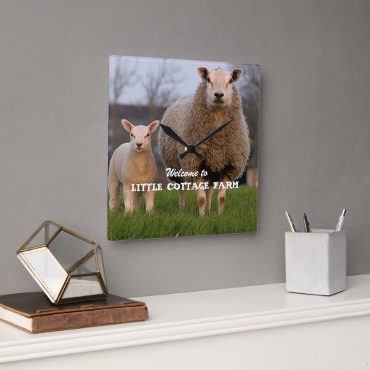 Farm Welcome Sheep Family Custom Quadratische Wanduhr (Büro)