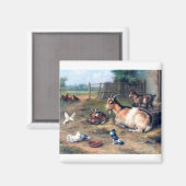 Farm Ziege Kids Tauben Magnet (Vorderseite/Rückseite)