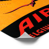 Farman Brothers Airlines F-170 Monoplane Poster (Ecke)