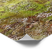 Farmhouse Poster (Ecke)