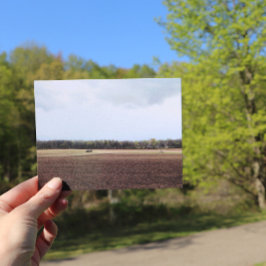 Farmland Midwest Sky - Landschaftsbäume im mittler Postkarte