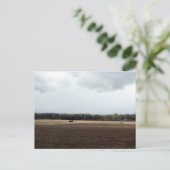 Farmland Midwest Sky - Landschaftsbäume im mittler Postkarte (Stehend Vorderseite)