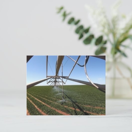 Farmland Postcard Postkarte (Stehend Vorderseite)