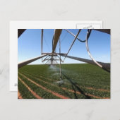 Farmland Postcard Postkarte (Vorne/Hinten)
