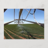 Farmland Postcard Postkarte (Vorderseite)