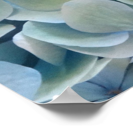 FARMphemera.com Poster "Antiques & Hydrangea" (Ecke)