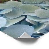 FARMphemera.com Poster "Hydrangeas" (Ecke)