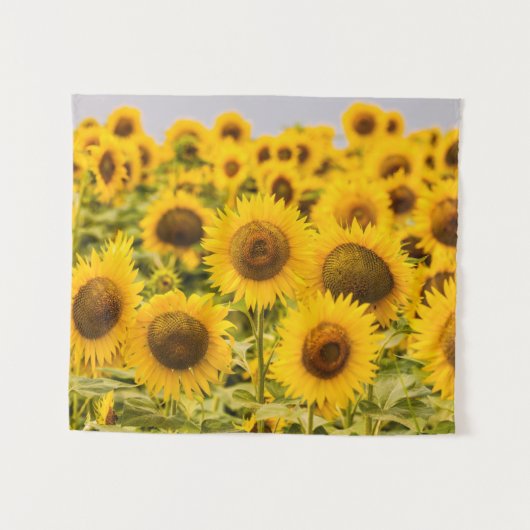 Farms | A Sunflower Field Wandteppich (Vorderseite (Horizontal))